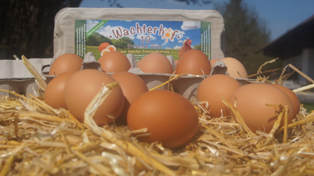 Unsere frischen Eier
